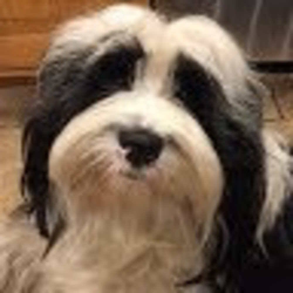 Meet your Posher, Nae